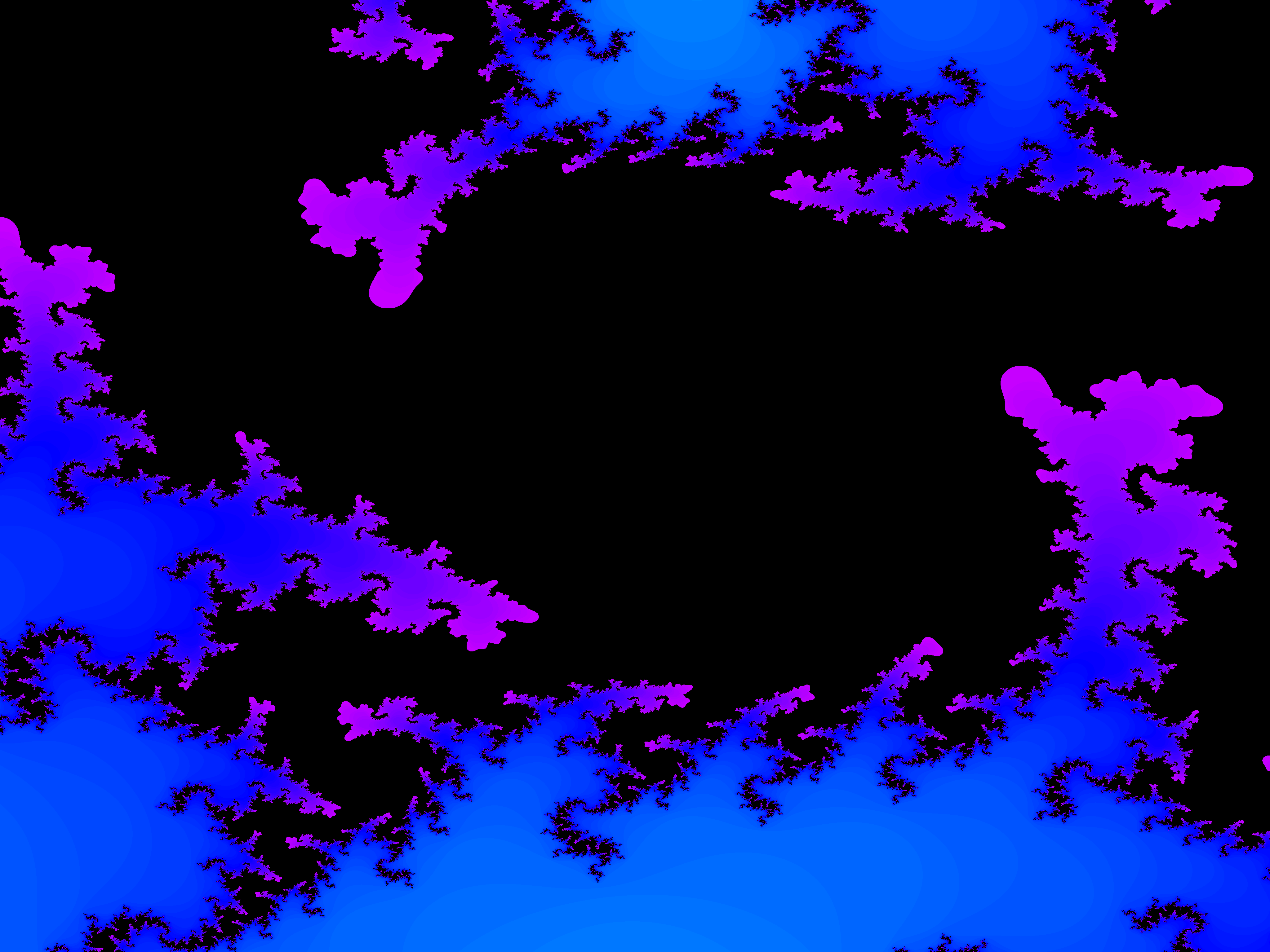 Close-Up - Black on Blue-Purple