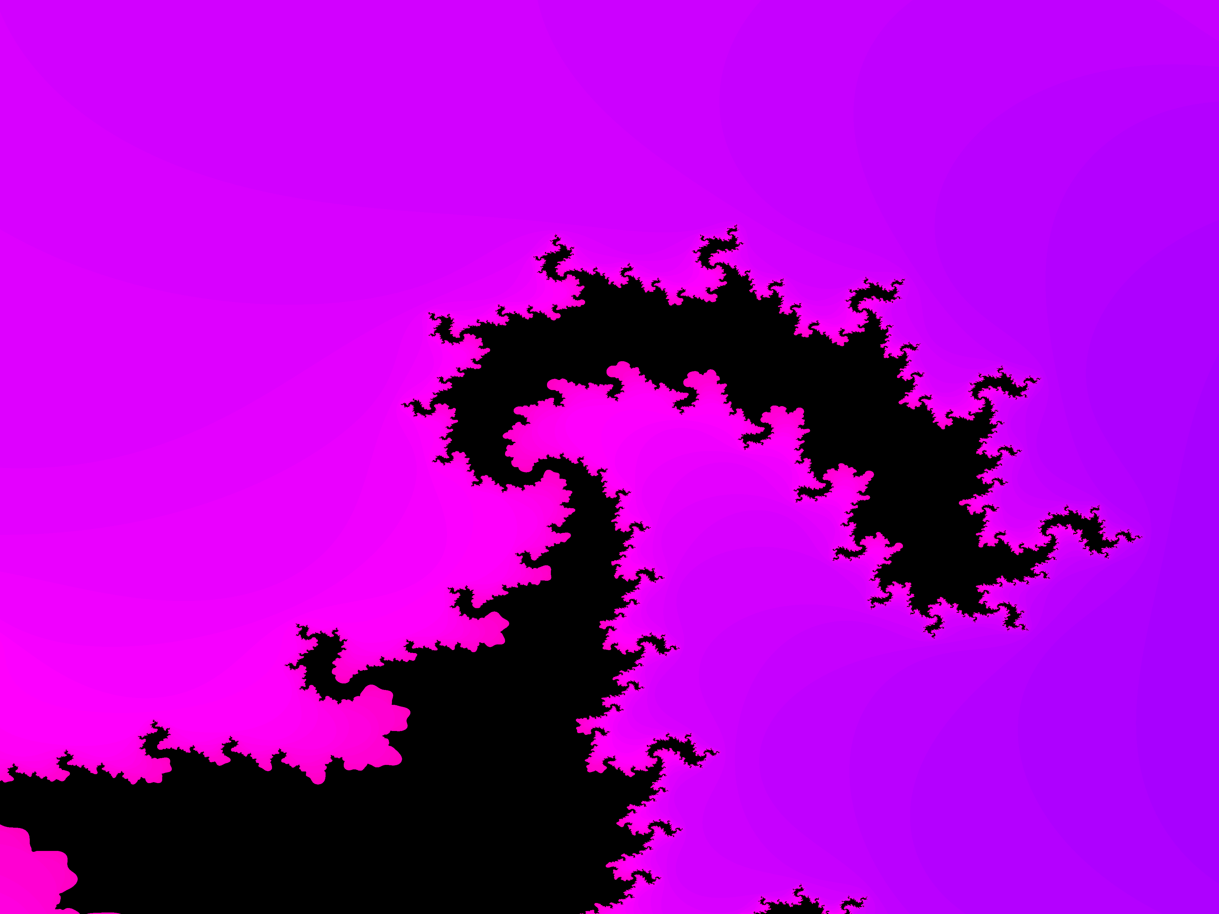 Close-Up - Black on Pink-Purple Spectrum