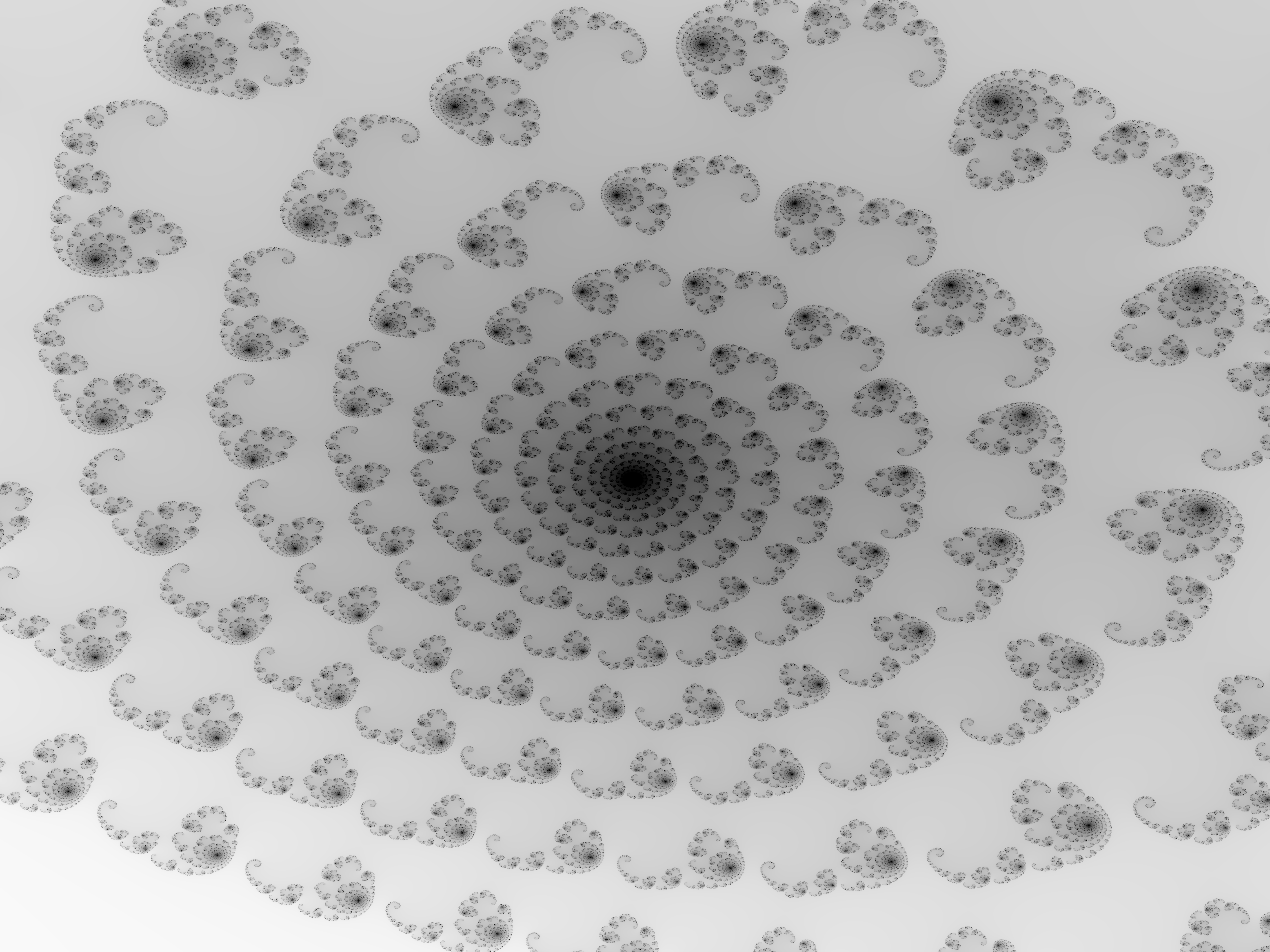 Close-Up - Black On White